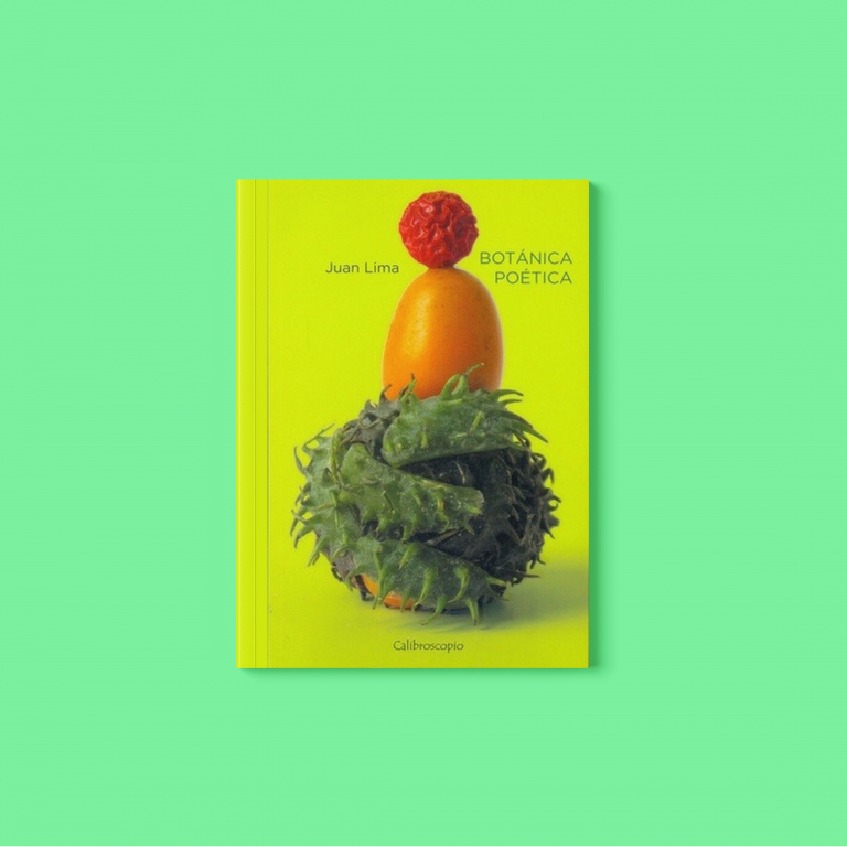 21 botanica poetica MOCKUP